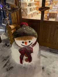 北海道富良野⛄️雪國森林精靈露台