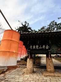 釜山｜金井山梵魚寺傳說 感受佛寺莊嚴與寧靜