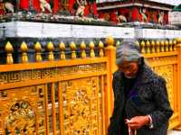 Exploring Serenity: A Journey to Kumbum Ta Er Monastery