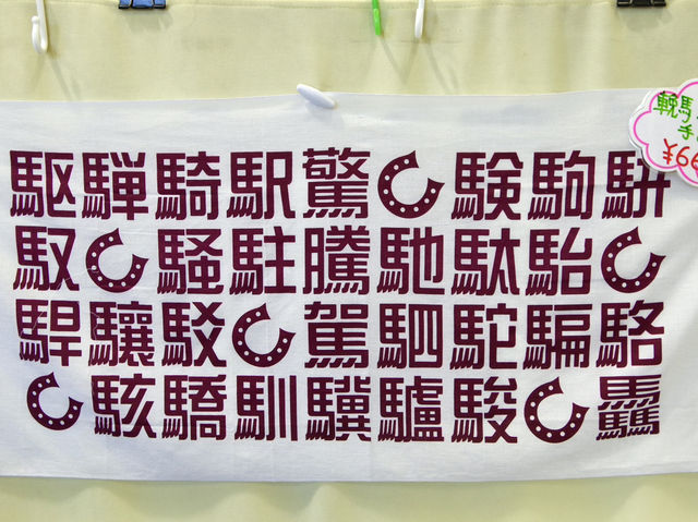 【北海道・帯広】観光としても楽しめる競馬場🏇