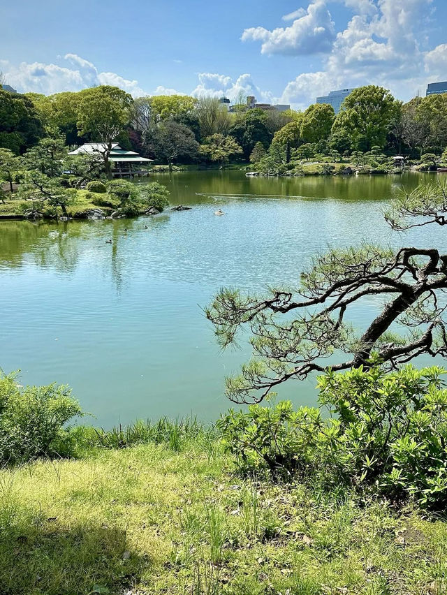 Spring in Kiyosumi Garden: A Green Escape🌸
