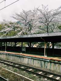 福岡遊