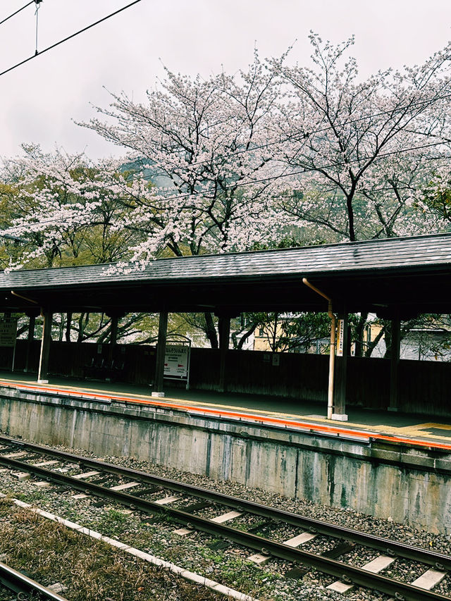 福岡遊