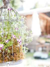 【茨城×オシャレなお花屋さん】天井に吊るされたドライフラワー フラワーアレンジメント教室