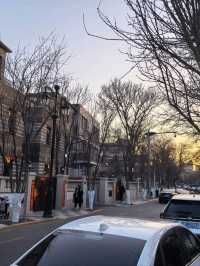 5 Great Avenues in Tianjin 