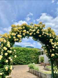 Spring Outing: Keisei Rose Garden🌼