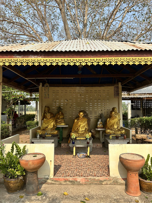 🙏🏼พาไปชมวันโนนม่วง จ.ชัยภูมิ
