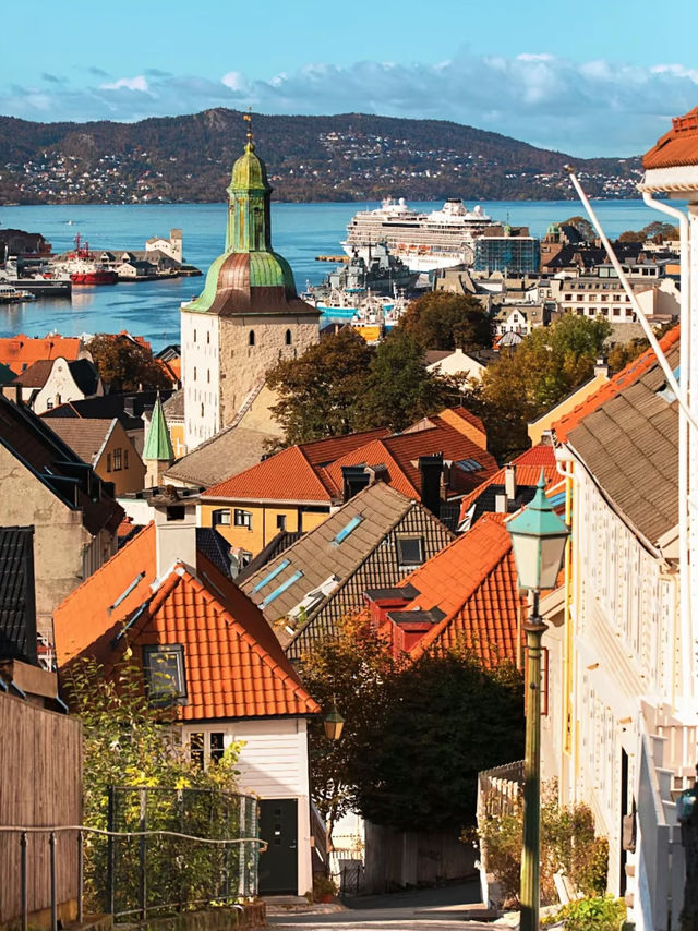🇳🇴 ノルウェー｜Norway