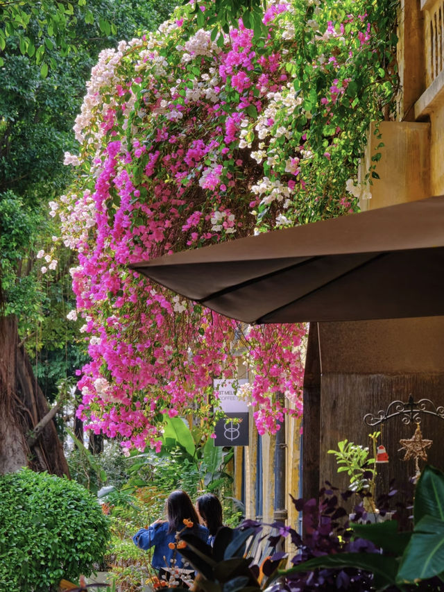In Guangzhou, spring always spills its paint palette onto the pages of the past.
