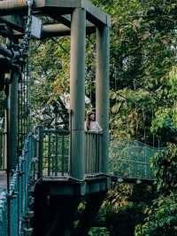 Urban Oasis: Exploring Nature at KL Eco Park
