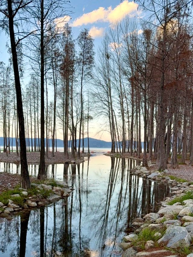 Shenjiang Village: Spring’s Secret Charm