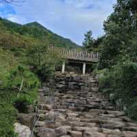 Jinhae Dream Road (Yeojwacheon Stream) – Korea’s Ultimate Blossom Tunnel