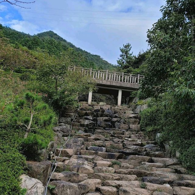 Jinhae Dream Road (Yeojwacheon Stream) – Korea’s Ultimate Blossom Tunnel