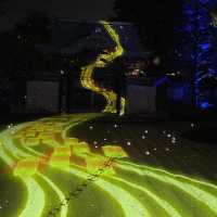 Kodaiji's Spring Illumination Night Show
