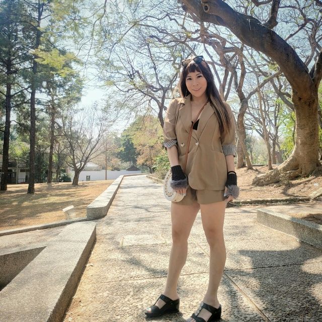 Steps of Serenity: Walking Through Tunghai University and Luce Chapel