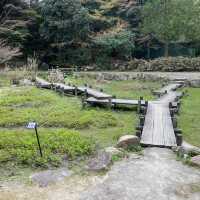【山口県下関市🇯🇵長府庭園】歴史に触れながら庭園散歩☺️