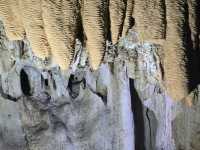 สำรวจถ้ำพุหวาย ตั้งอยู่ในวนอุทยานถ้ำเขาวง