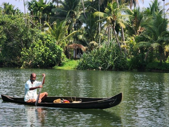 【コチ/インド】バックウォータークルーズ🛶