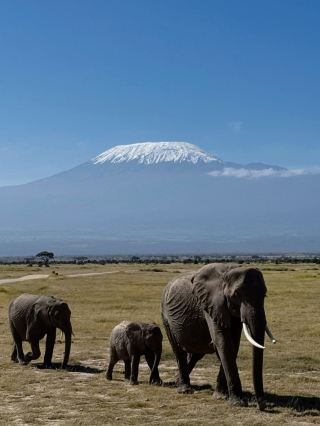 Kilimanjaro from Amboseli National Park, Kenya