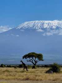 Kilimanjaro from Amboseli National Park, Kenya