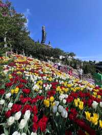 Tay Ninh Ba mountain