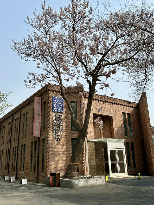 798 in Spring: Where Industrial Bones Bloom with Artistic Soul
