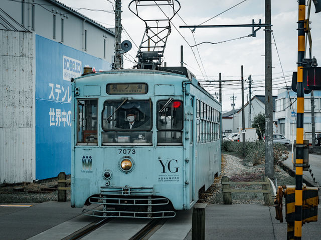 新湊海漁市場