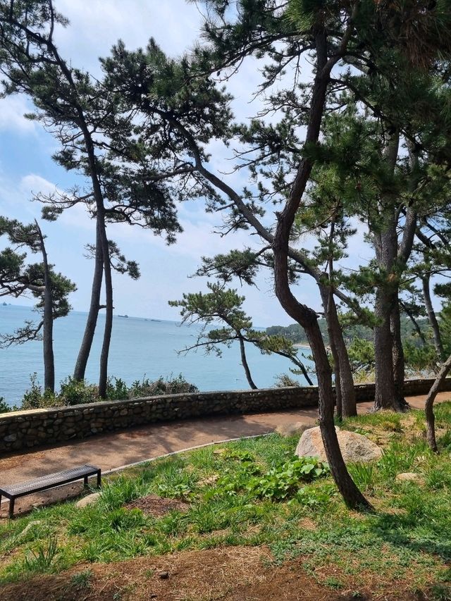 산책하기 좋은 울산 대왕암 공원🏞