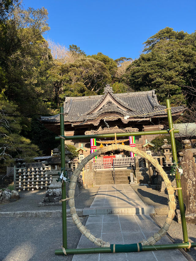 海辺の神社と絶品ピザで心もお腹も満たされる！「伊古奈比咩命神社」と「フェルメンコ」で伊豆時間を満喫♪