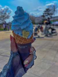 【東京・舎人公園】春の絶景お花見スポット
