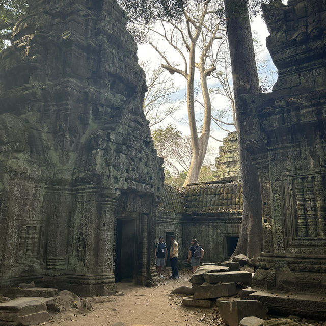 Angkor Wat - 1 Day Ticket