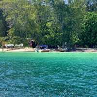 Diving into Paradise: My Unforgettable Journey to Tunku Abdul Rahman Marine Park