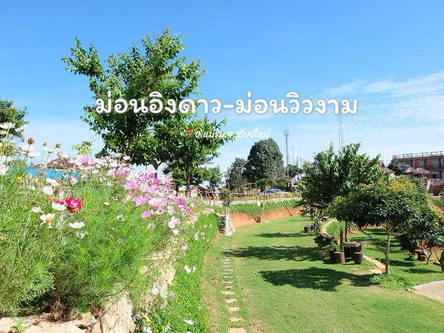 "ม่อนอิงดาว-ม่อนวิวงาม" ยอดดอยสวยๆ เชียงใหม่🌸