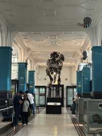 Manchester Museum Review