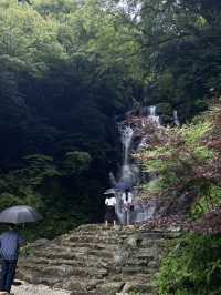 【福岡】白糸の滝