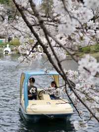 Inokashira Natural and Cultural Park