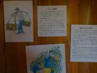 【花沢の里】（静岡県焼津市　旧国名：駿河）