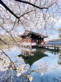 “Twin Blossoms of the Jiangnan Spring: Suzhou & Hangzhou in Bloom”