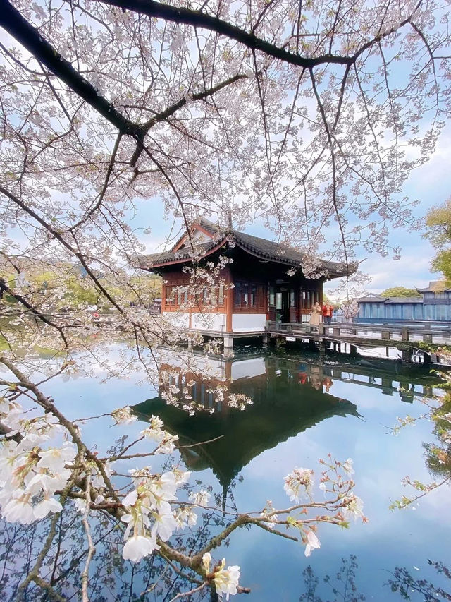 “Twin Blossoms of the Jiangnan Spring: Suzhou & Hangzhou in Bloom”