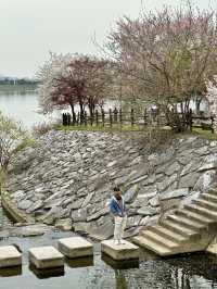 Perfect Spot for a Peaceful Walk or Rest within the City.