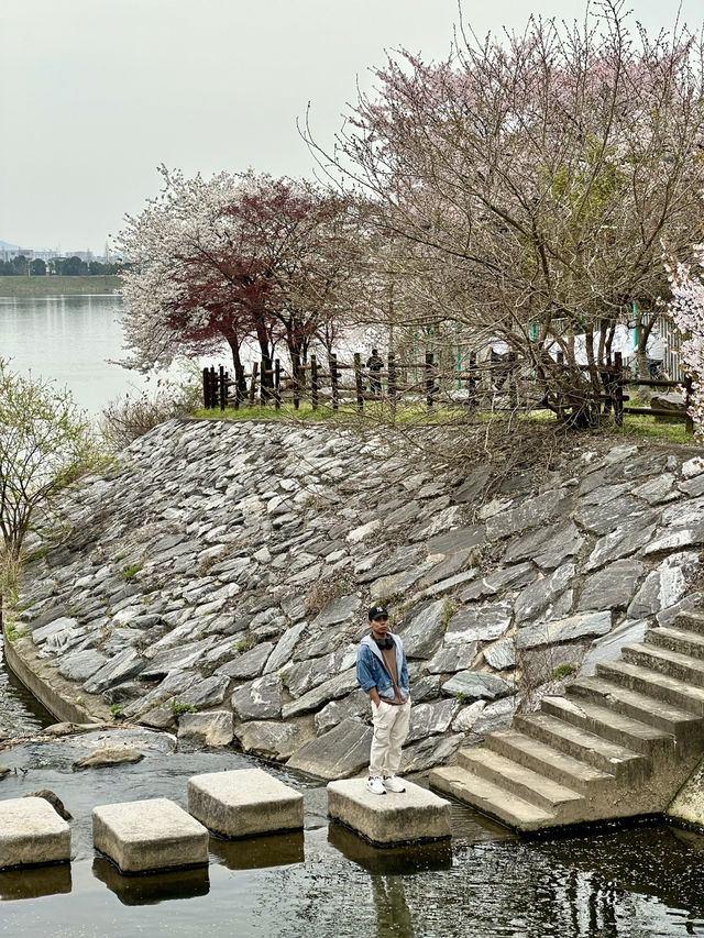Perfect Spot for a Peaceful Walk or Rest within the City.