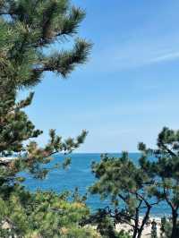 Spring Magic at Korea’s Most Beautiful Seaside Temple 