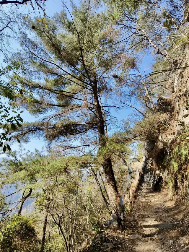 谷關七雄～東卯山