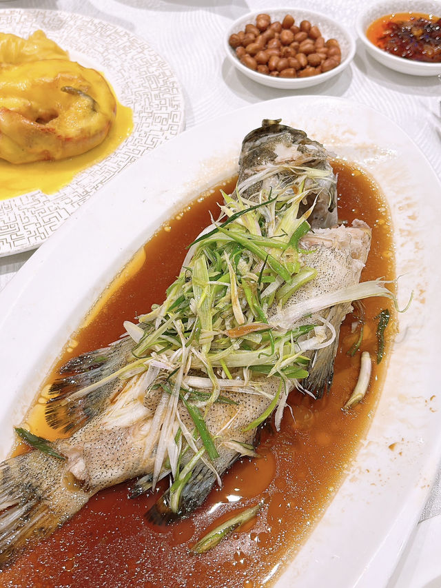 🎏嚟尖沙咀食30年粵菜經驗餐廳‼️全海鮮餐都只係$680😳