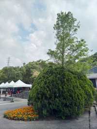  台北｜自來水園區｜自然與歷史的和諧