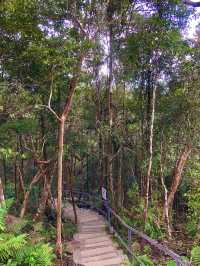 Tropical Views and Ocean Blues — Langkawi Cable Car Experience