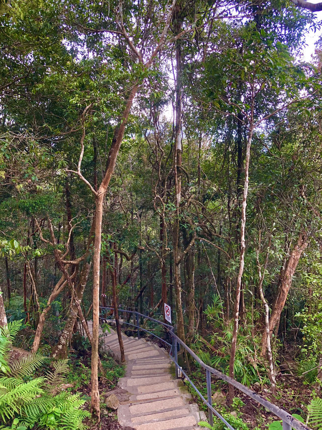 Tropical Views and Ocean Blues — Langkawi Cable Car Experience