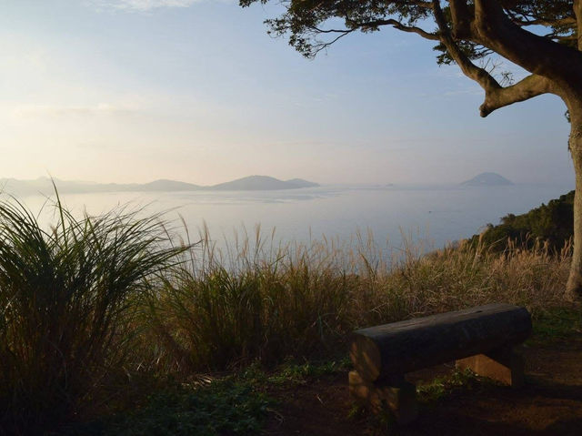 Discover Nokonoshima Island 