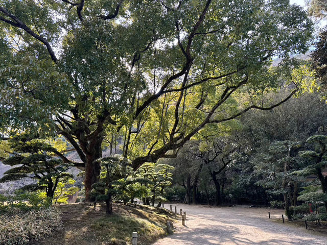 🇯🇵【香川県】広大な庭園！四季折々の花が楽しめる！栗林公園(^^)