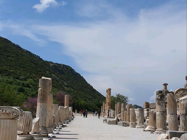 켈수스 도서관